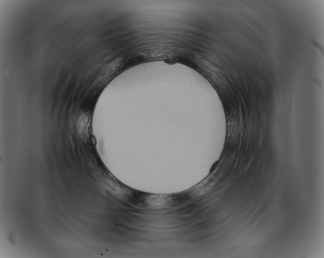 X0000095120142200801041231