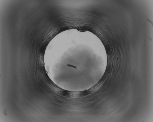 X0000095120143200801041231