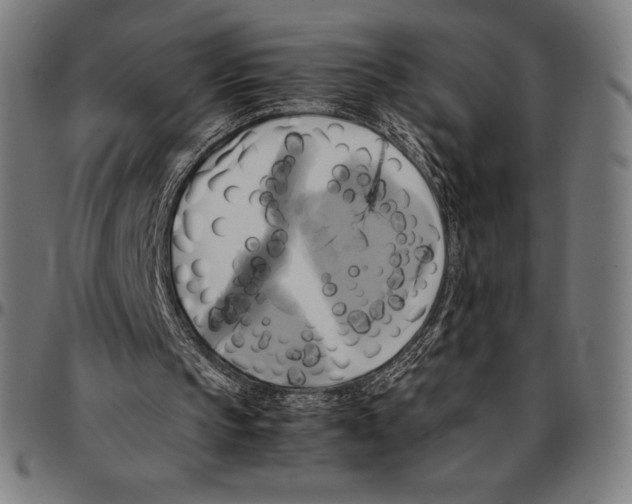 X0000095120145200801041231