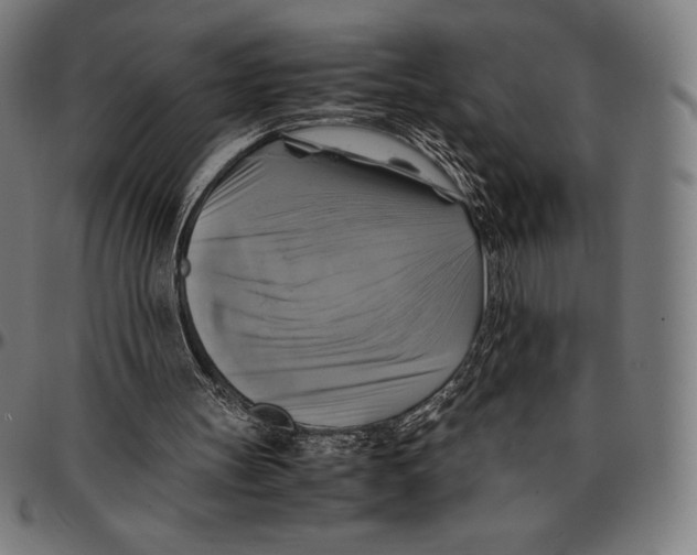 X0000095120147200801041231