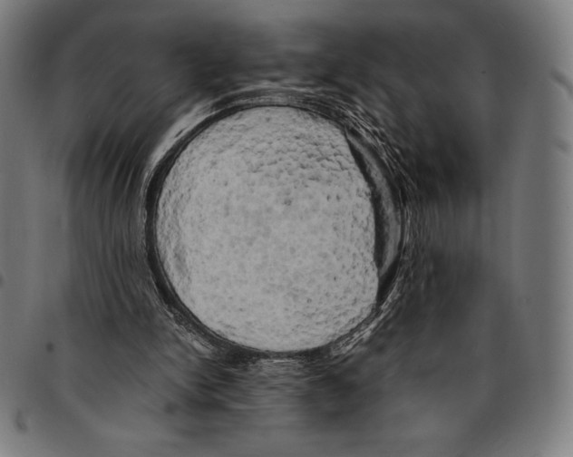 X0000095120150200801041231