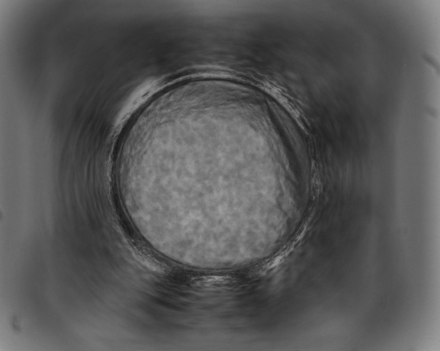 X0000095120151200801041231