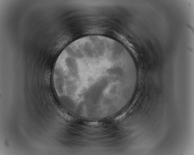 X0000095120153200801041231