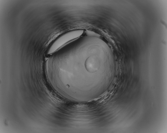 X0000095120154200801041231