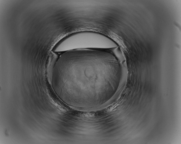 X0000095120156200801041231