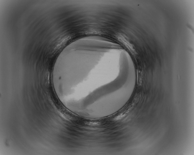 X0000095120157200801041231