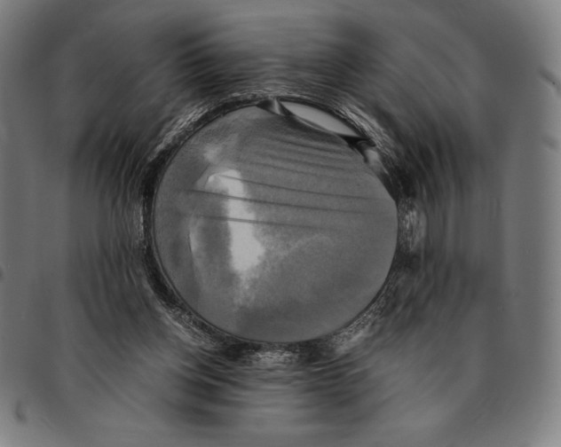 X0000095120158200801041231