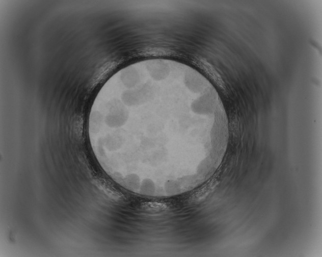 X0000095120159200801041231