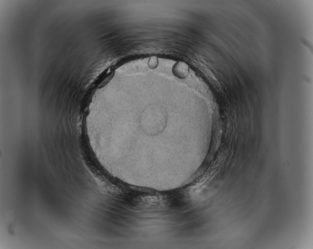 X0000095120160200801041231