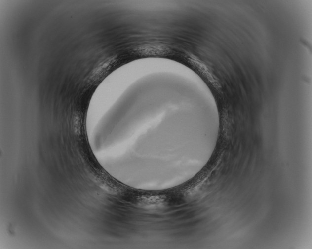 X0000095120161200801041231