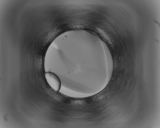 X0000095120163200801041231