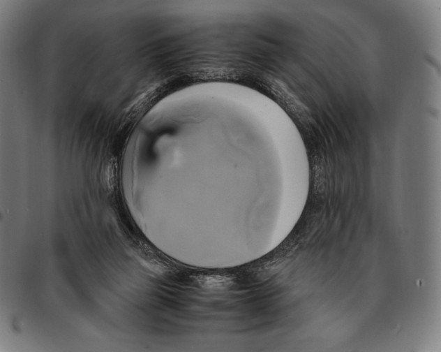 X0000095120165200801041231