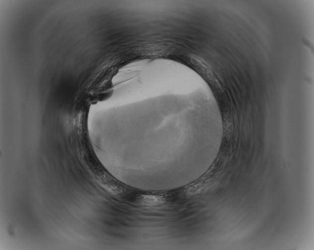 X0000095120167200801041231