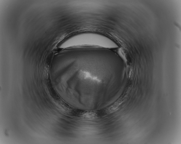 X0000095120168200801041231