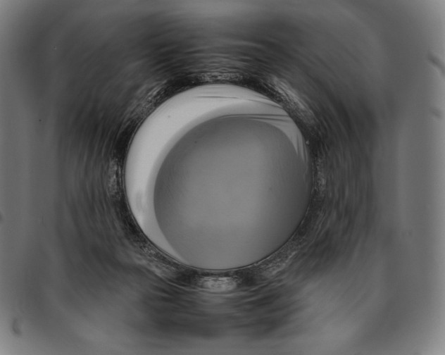 X0000095120169200801041231