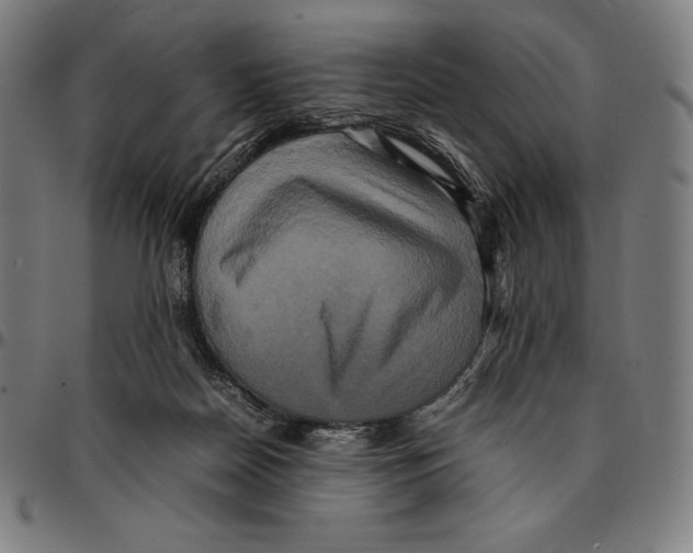 X0000095120170200801041231