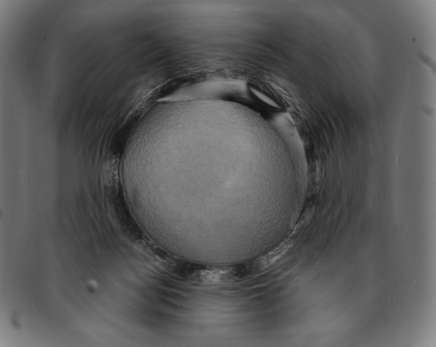 X0000095120172200801041231