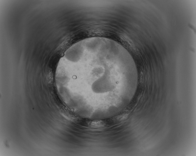 X0000095120173200801041231