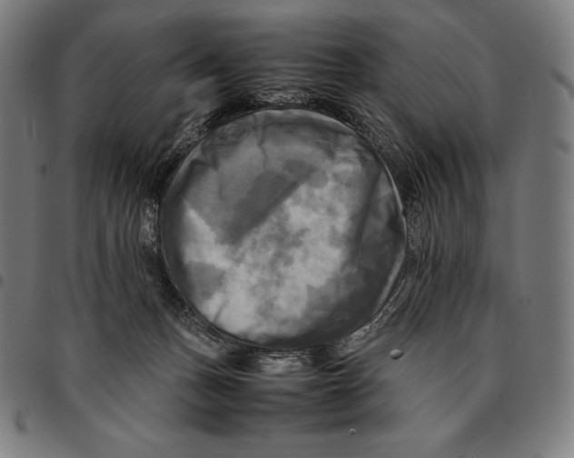 X0000095120175200801041231