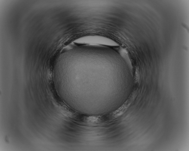 X0000095120176200801041231