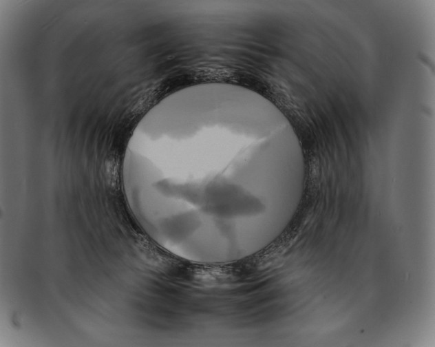 X0000095120177200801041231