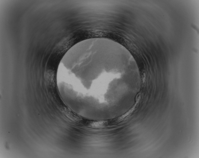 X0000095120178200801041231