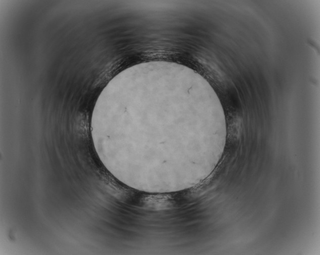 X0000095120179200801041231