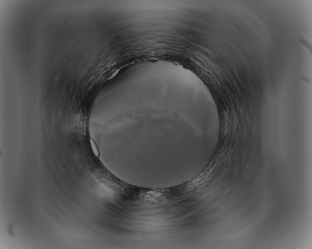 X0000095120180200801041231