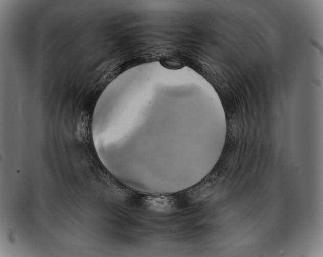 X0000095120181200801041231