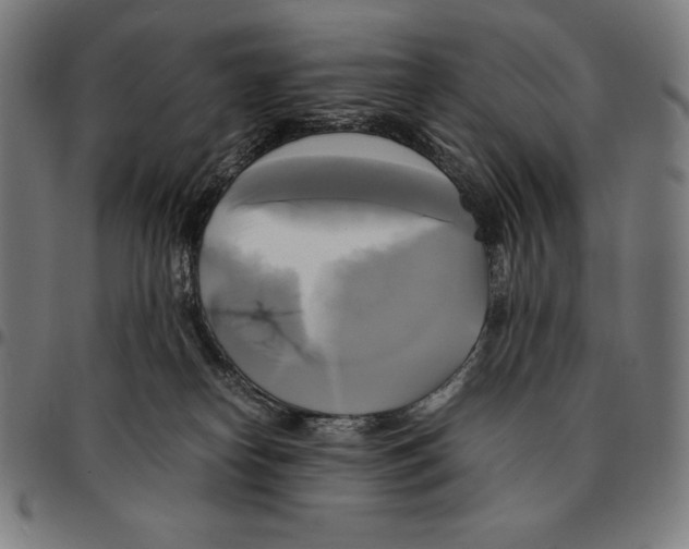 X0000095120182200801041231