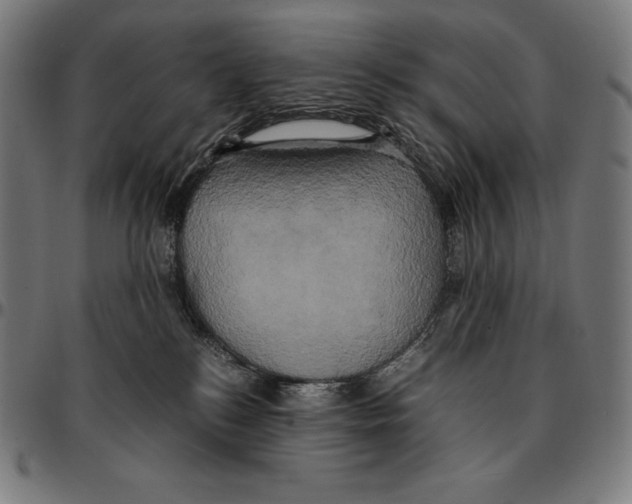 X0000095120184200801041231