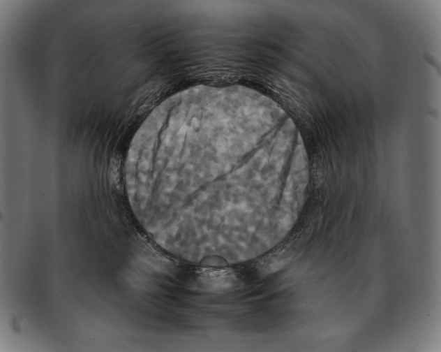 X0000095120185200801041231