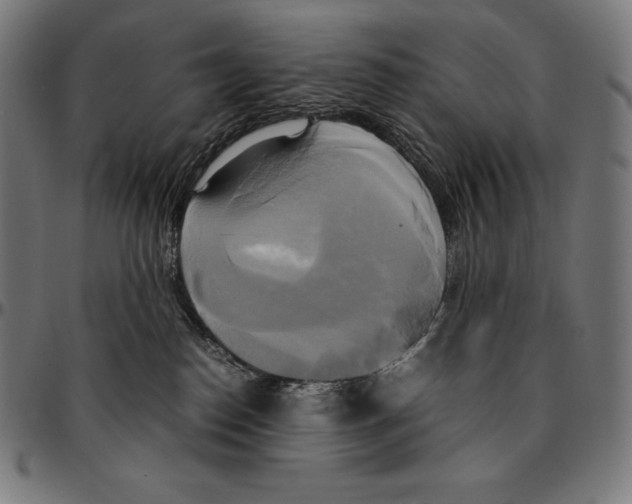 X0000095120186200801041231