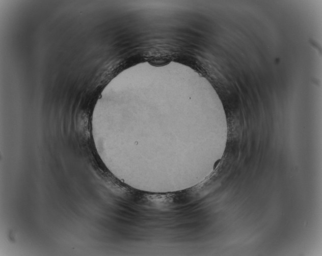 X0000095120187200801041231