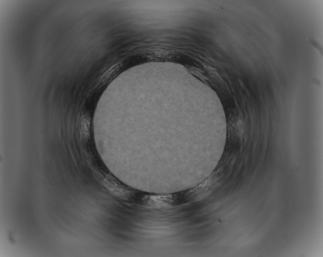 X0000095120188200801041231