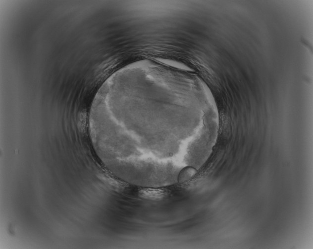 X0000095120189200801041231