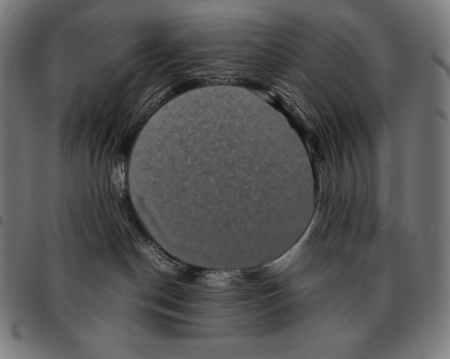 X0000095120190200801041231