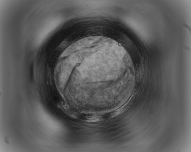 X0000095120191200801041231