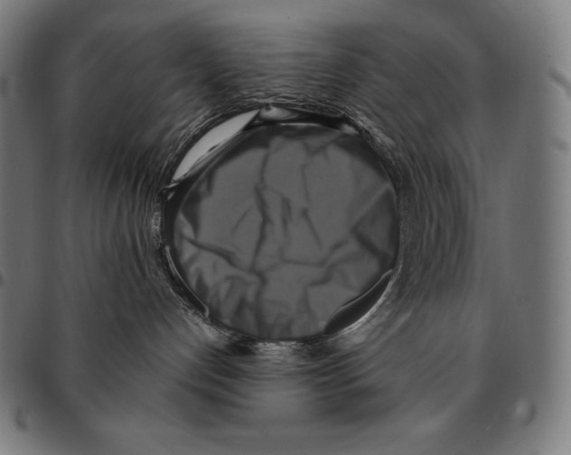 X0000095120192200801041231