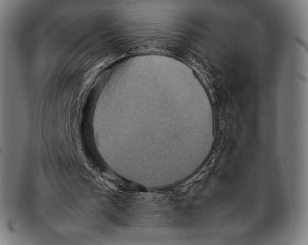 X0000095120193200801041231