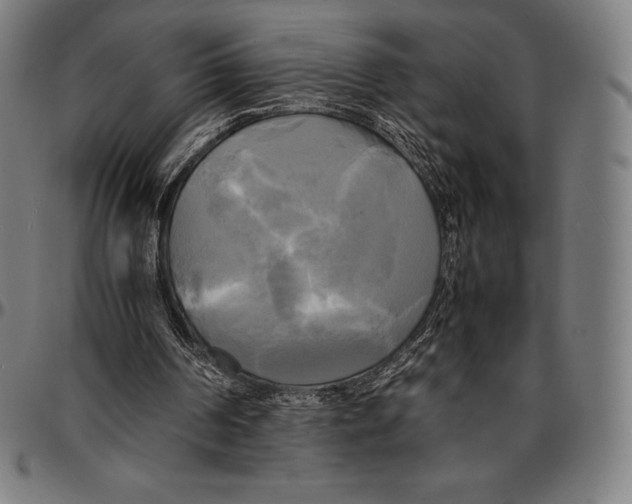 X0000095120194200801041231