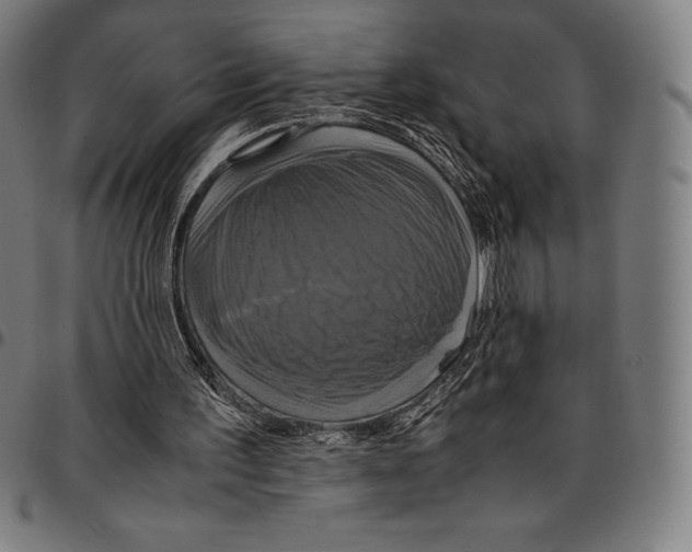 X0000095120195200801041231