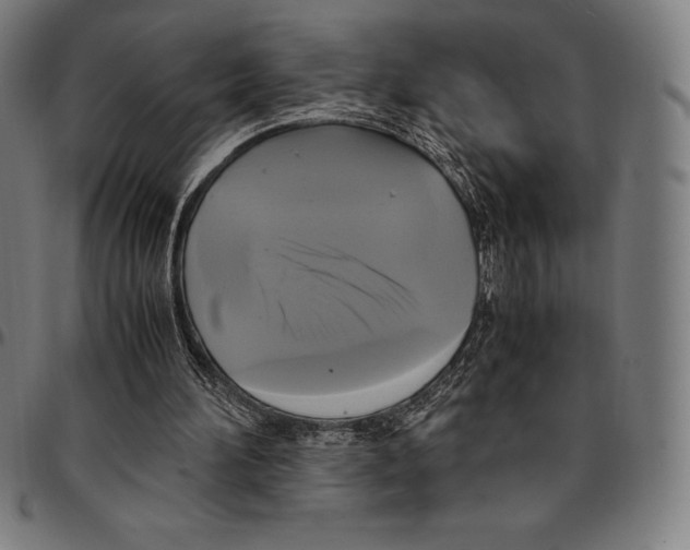 X0000095120196200801041231