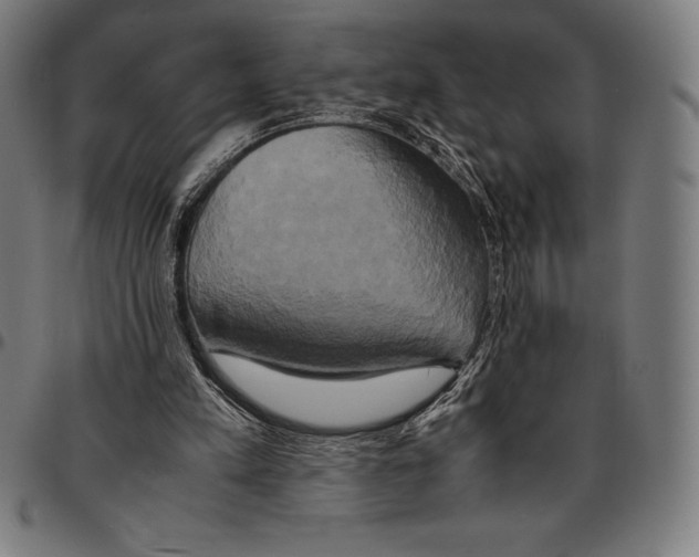 X0000095120197200801041231