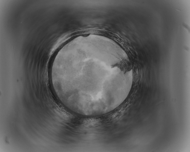 X0000095120198200801041231