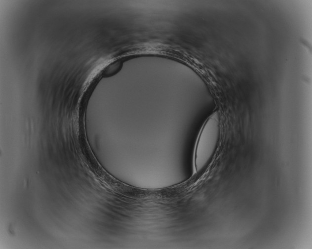 X0000095120200200801041230