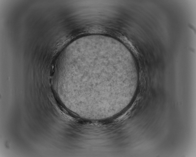 X0000095120201200801041230