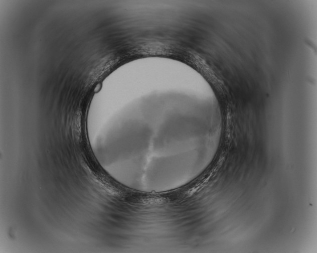 X0000095120202200801041230