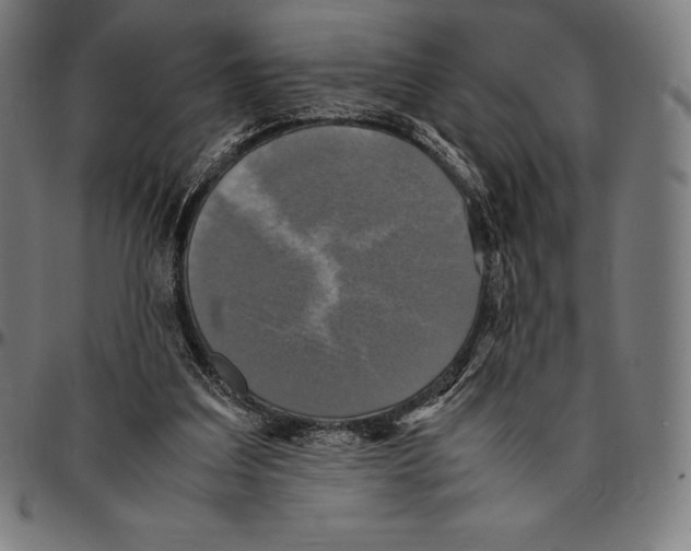 X0000095120203200801041230