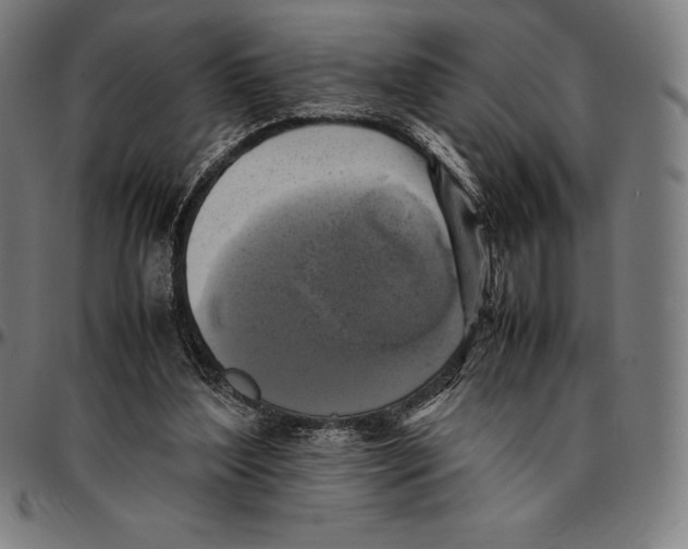 X0000095120204200801041230